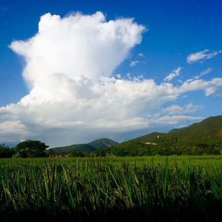 Blue Sky Resort Pai Εξωτερικό φωτογραφία